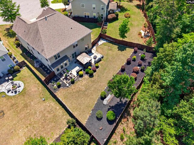 436 Maria Posada Ct, Chapin, SC 29036