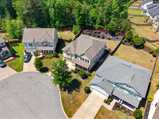 436 Maria Posada Ct, Chapin, SC 29036