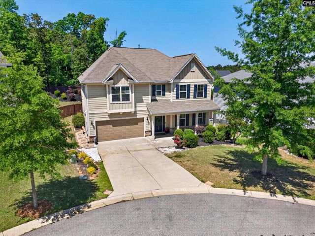 436 Maria Posada Ct, Chapin, SC 29036