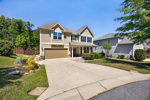 436 Maria Posada Ct, Chapin, SC 29036