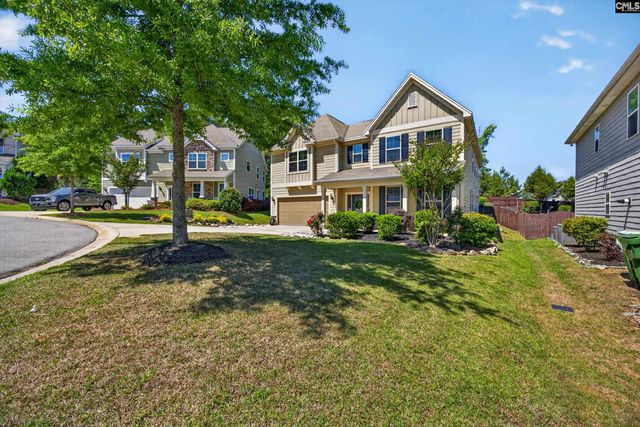 436 Maria Posada Ct, Chapin, SC 29036