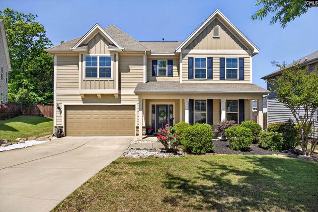 436 Maria Posada Ct, Chapin, SC 29036
