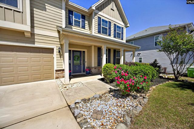 436 Maria Posada Ct, Chapin, SC 29036