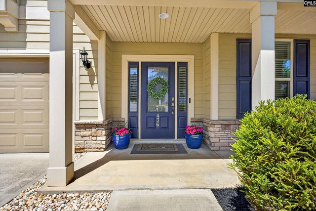 436 Maria Posada Ct, Chapin, SC 29036