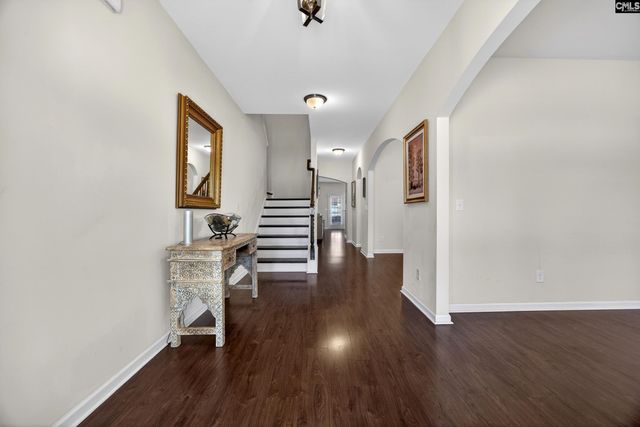 436 Maria Posada Ct, Chapin, SC 29036