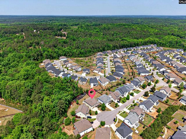 436 Maria Posada Ct, Chapin, SC 29036