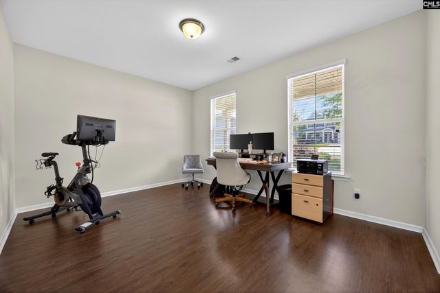 436 Maria Posada Ct, Chapin, SC 29036