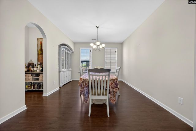 436 Maria Posada Ct, Chapin, SC 29036