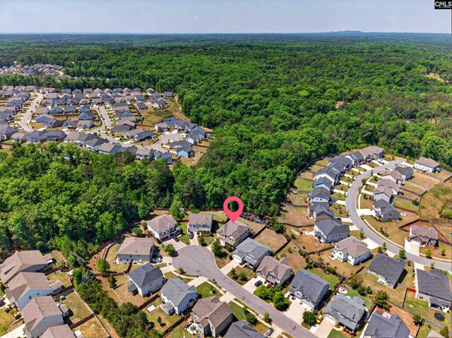 436 Maria Posada Ct, Chapin, SC 29036
