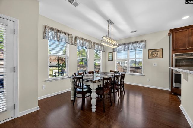 436 Maria Posada Ct, Chapin, SC 29036