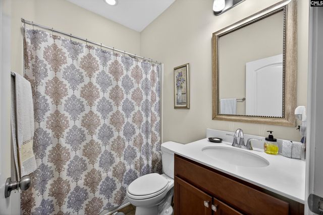 436 Maria Posada Ct, Chapin, SC 29036