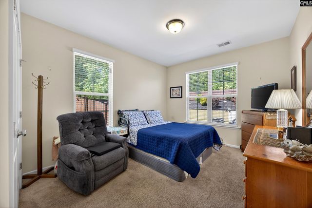 436 Maria Posada Ct, Chapin, SC 29036