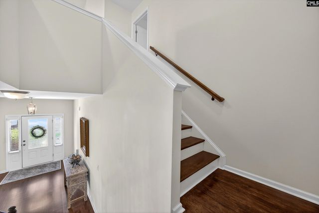 436 Maria Posada Ct, Chapin, SC 29036