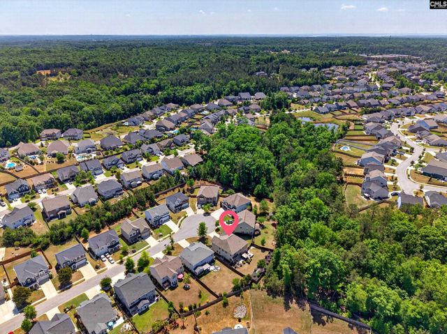 436 Maria Posada Ct, Chapin, SC 29036