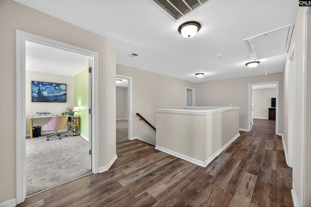436 Maria Posada Ct, Chapin, SC 29036