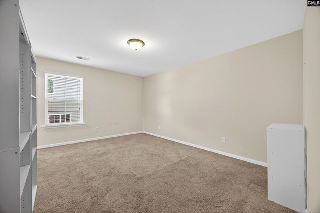 436 Maria Posada Ct, Chapin, SC 29036