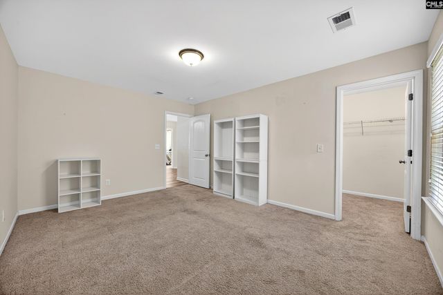 436 Maria Posada Ct, Chapin, SC 29036