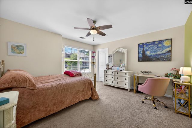 436 Maria Posada Ct, Chapin, SC 29036