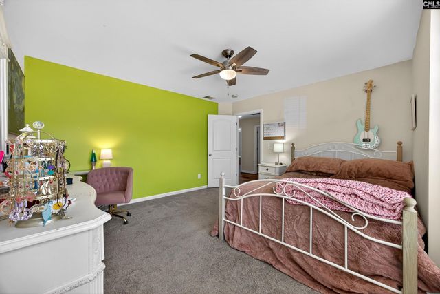 436 Maria Posada Ct, Chapin, SC 29036