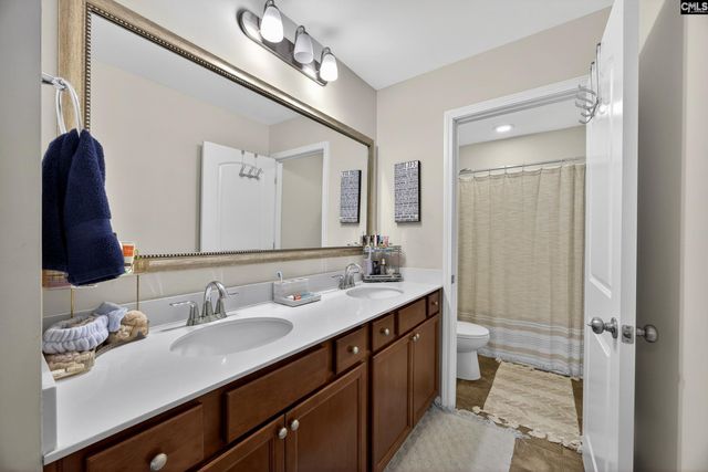 436 Maria Posada Ct, Chapin, SC 29036