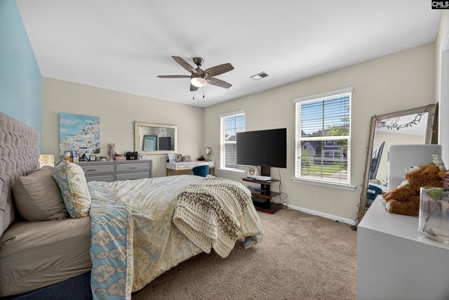 436 Maria Posada Ct, Chapin, SC 29036