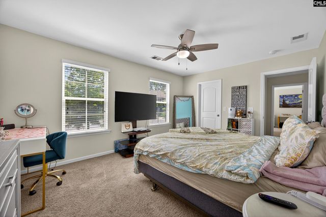 436 Maria Posada Ct, Chapin, SC 29036