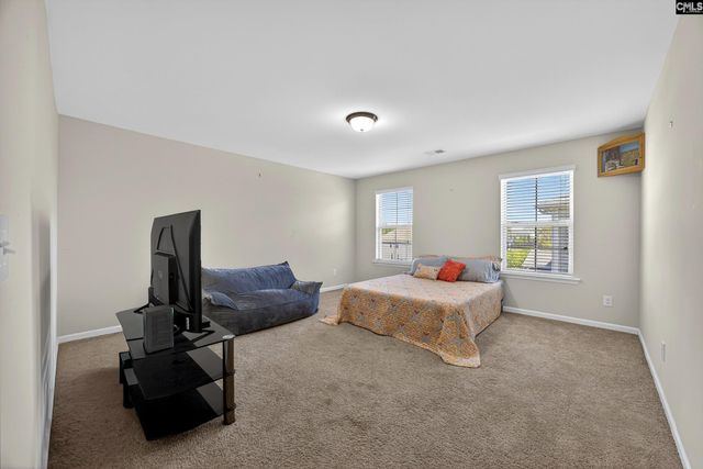 436 Maria Posada Ct, Chapin, SC 29036