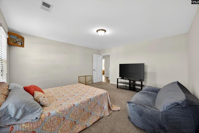 436 Maria Posada Ct, Chapin, SC 29036