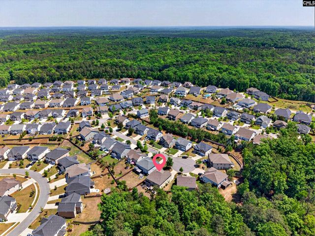 436 Maria Posada Ct, Chapin, SC 29036