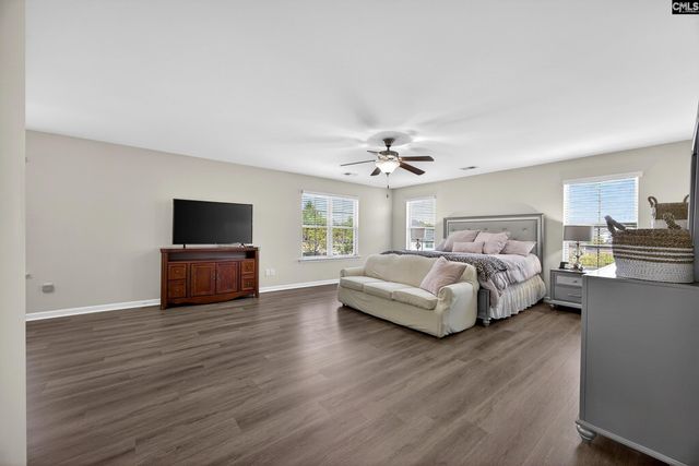 436 Maria Posada Ct, Chapin, SC 29036