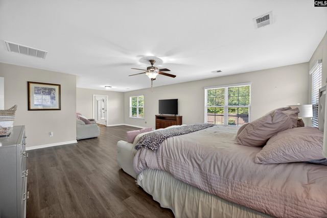 436 Maria Posada Ct, Chapin, SC 29036