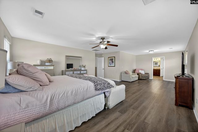 436 Maria Posada Ct, Chapin, SC 29036