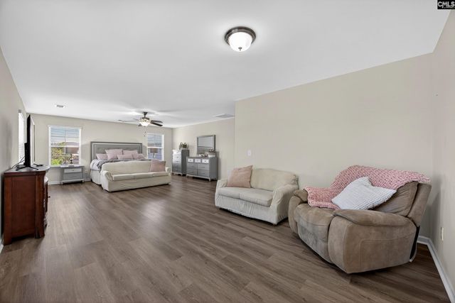 436 Maria Posada Ct, Chapin, SC 29036