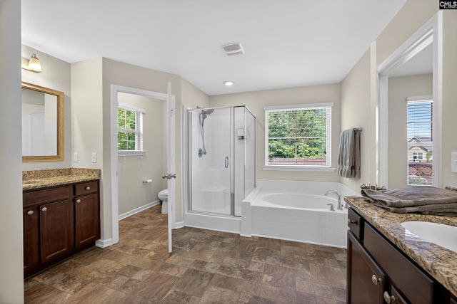 436 Maria Posada Ct, Chapin, SC 29036