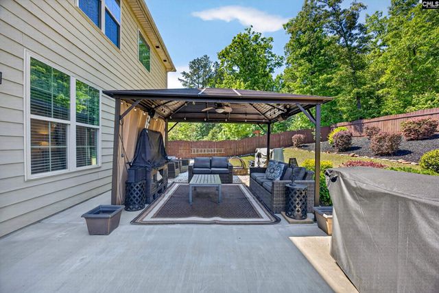 436 Maria Posada Ct, Chapin, SC 29036