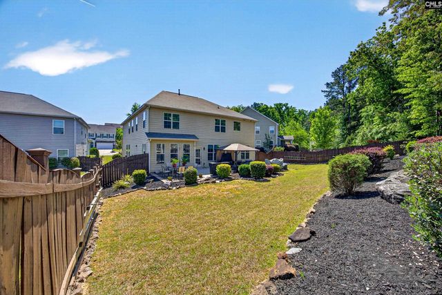 436 Maria Posada Ct, Chapin, SC 29036