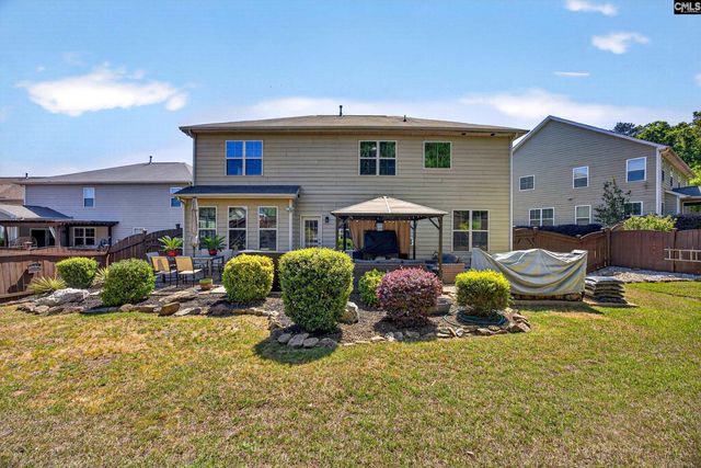 436 Maria Posada Ct, Chapin, SC 29036