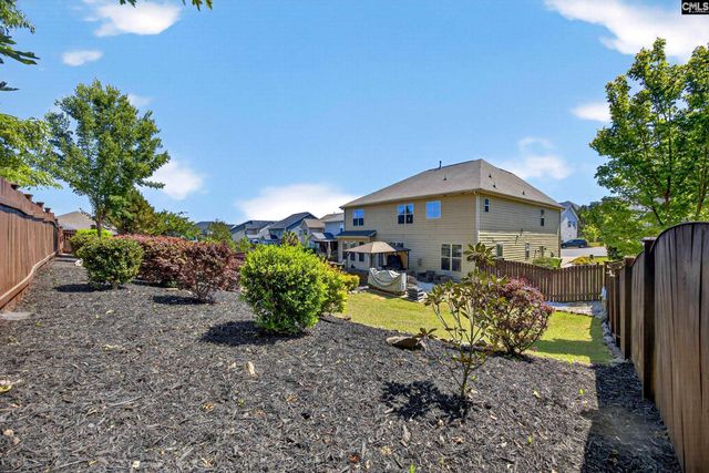 436 Maria Posada Ct, Chapin, SC 29036