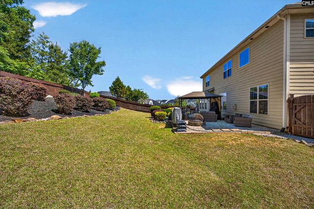 436 Maria Posada Ct, Chapin, SC 29036