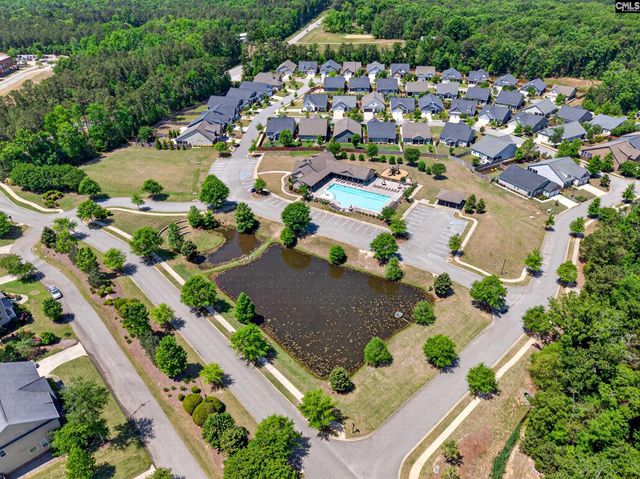 436 Maria Posada Ct, Chapin, SC 29036