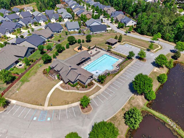 436 Maria Posada Ct, Chapin, SC 29036
