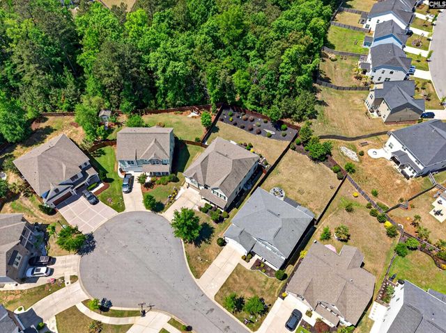 436 Maria Posada Ct, Chapin, SC 29036
