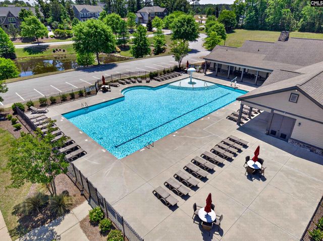 436 Maria Posada Ct, Chapin, SC 29036