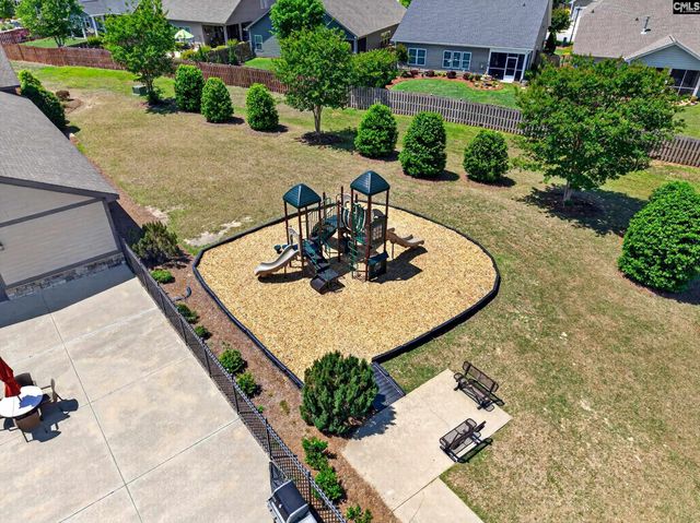 436 Maria Posada Ct, Chapin, SC 29036