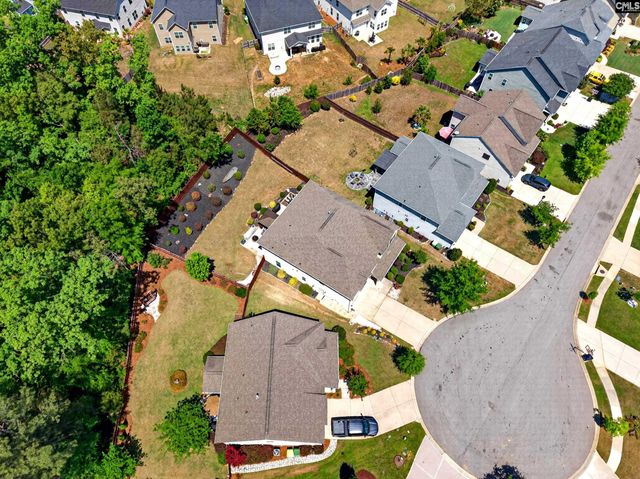 436 Maria Posada Ct, Chapin, SC 29036