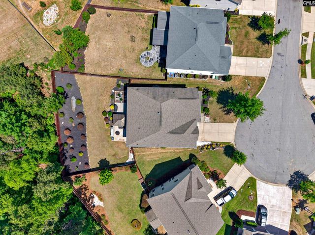 436 Maria Posada Ct, Chapin, SC 29036
