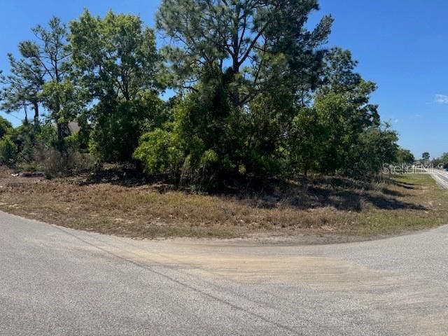 11364 PATCH STREET, Spring Hill, FL 34609