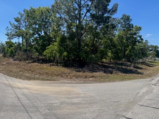 11364 PATCH STREET, Spring Hill, FL 34609