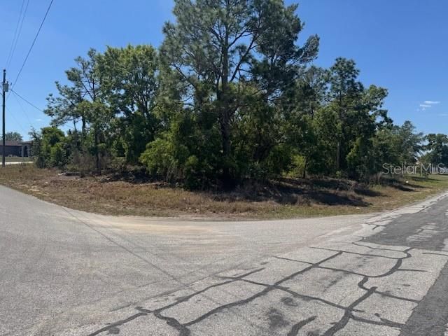 11364 PATCH STREET, Spring Hill, FL 34609