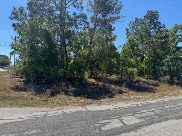 11364 PATCH STREET, Spring Hill, FL 34609